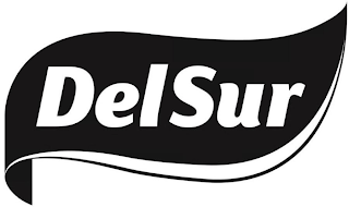 DEL SUR logo