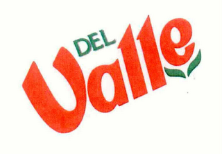 DEL VALLE logo