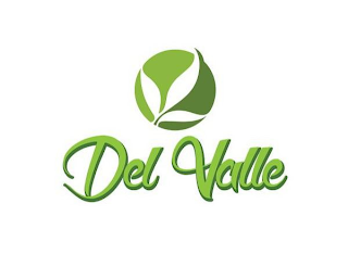 DEL VALLE logo