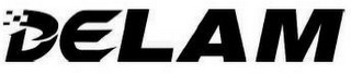 DELAM logo