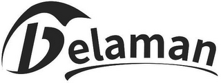 DELAMAN logo