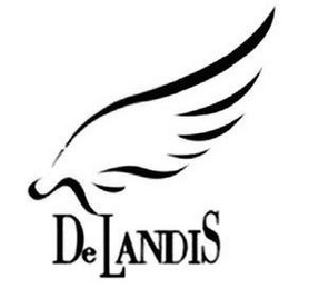 DELANDIS logo