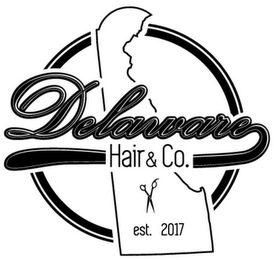DELAWARE HAIR & CO. EST 2017 logo