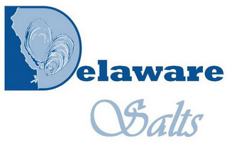 DELAWARE SALTS logo