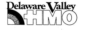 DELAWARE VALLEY HMO logo