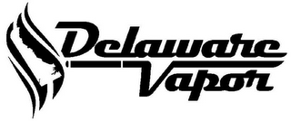 DELAWARE VAPOR logo
