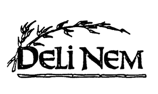 DELI NEM logo