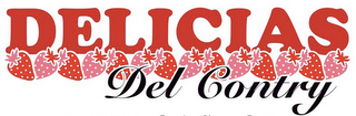 DELICIAS DEL CONTRY logo
