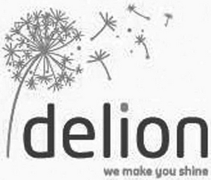 DELION WE MAKE YOU SHINE logo
