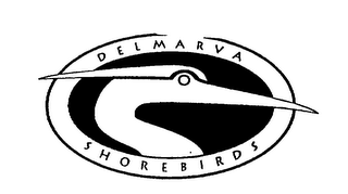 DELMARVA SHOREBIRDS logo