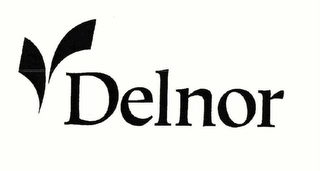 DELNOR logo