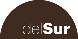 DELSUR logo