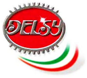 DELSY logo