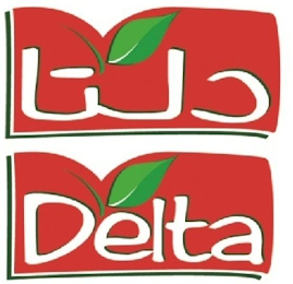 DELTA logo