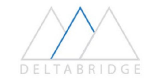 DELTA BRIDGE logo