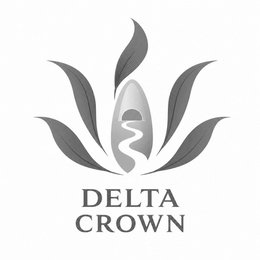 DELTA CROWN logo