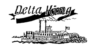DELTA KING logo