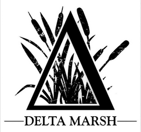 DELTA MARSH logo