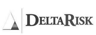 DELTA RISK logo