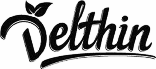 DELTHIN logo