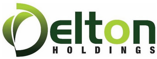 DELTON HOLDINGS logo
