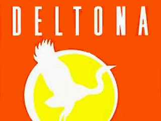 DELTONA logo