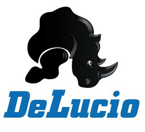 DELUCIO logo