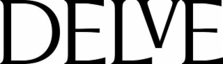 DELVE logo