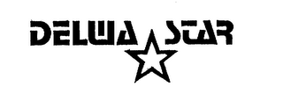 DELWA STAR logo