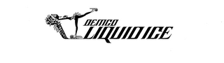 DEMCO LIQUID ICE logo