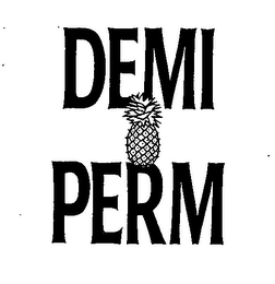 DEMI PERM logo