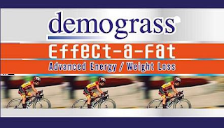 DEMOGRASS EFFECT-A-FAT ADVANCED ENERGY / WEIGHT LOSS logo