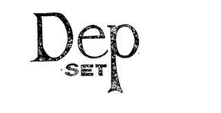 DEP SET logo