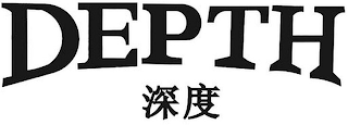 DEPTH logo