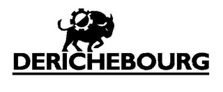 DERICHEBOURG logo