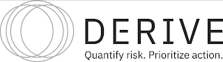 DERIVE QUANTIFY RISK. PRIORITIZE ACTION. logo