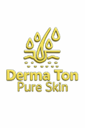 DERMA TON PURE SKIN logo