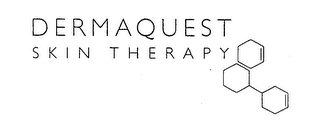 DERMAQUEST SKIN THERAPY logo