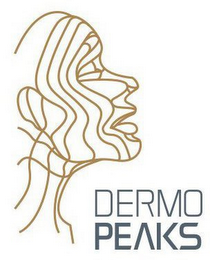 DERMO PEAKS logo