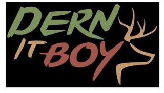 DERN IT BOY logo