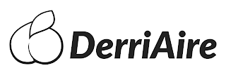 DERRIAIRE logo
