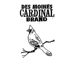 DES MOINES CARDINAL BRAND logo