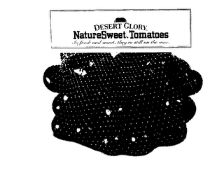 DESERT GLORY NATURESWEET TOMATOES SO FRESH AND SWEET, THEY'RE STILL ON THE VINE. logo