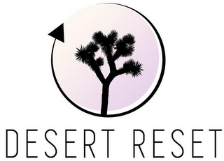 DESERT RESET logo