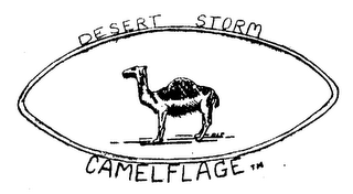 DESERT STORM CAMELFLAGE logo