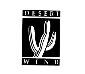 DESERT WIND logo