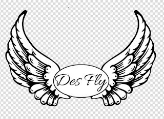 DESFLY logo