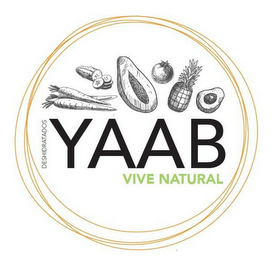 DESHIDRATADOS YAAB VIVE NATURAL logo