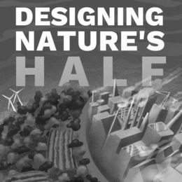 DESIGNING NATURE'S HALF logo