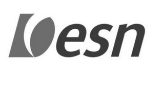 DESN logo